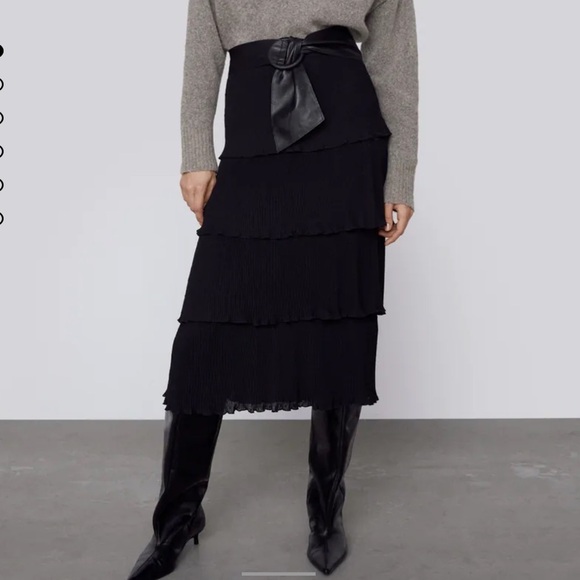 Zara | Ruffled Swiss Dotted Midi Mesh Skirt XS NWT - Picture 1 of 10